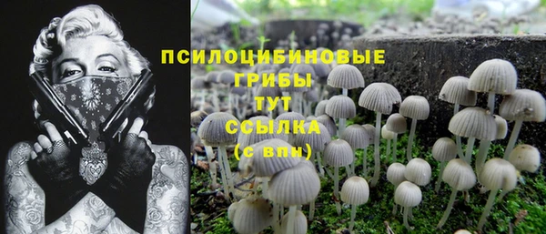 стафф Михайловка