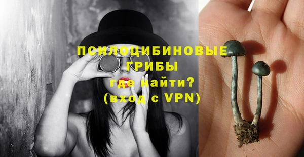 стафф Михайловка